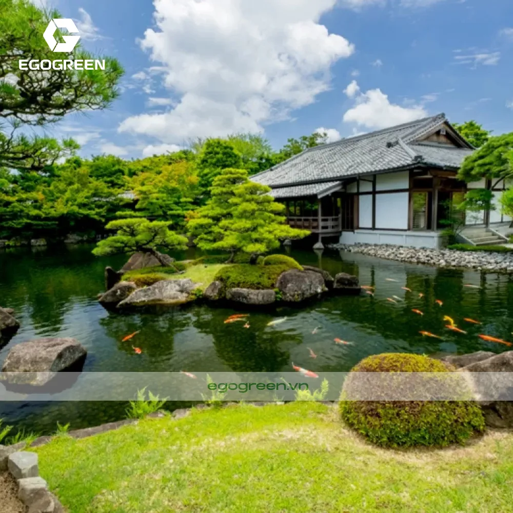 Sân vườn kiểu Nhật Bản có ao cá KOI